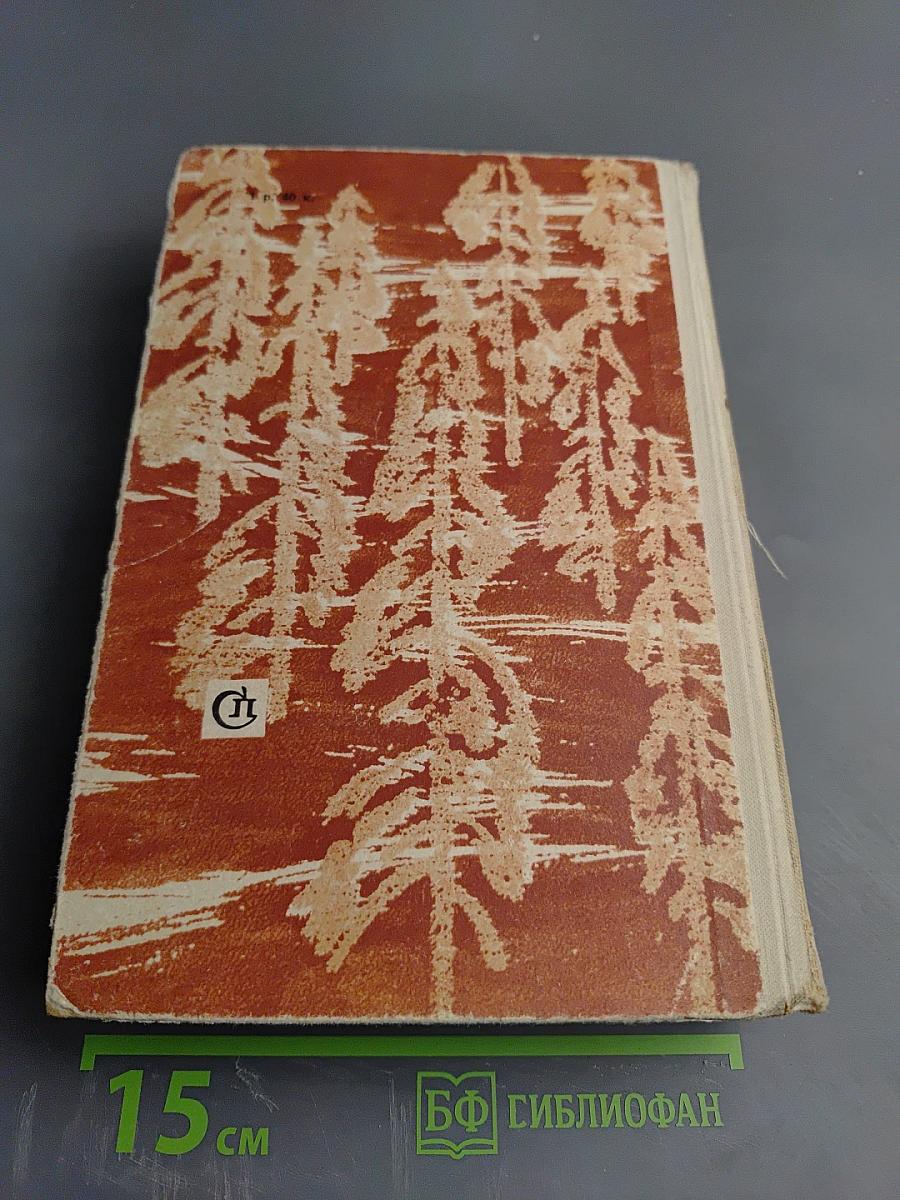 Горбатый медведь