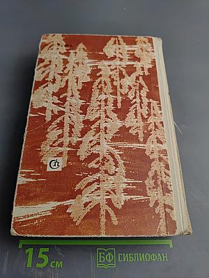 Горбатый медведь