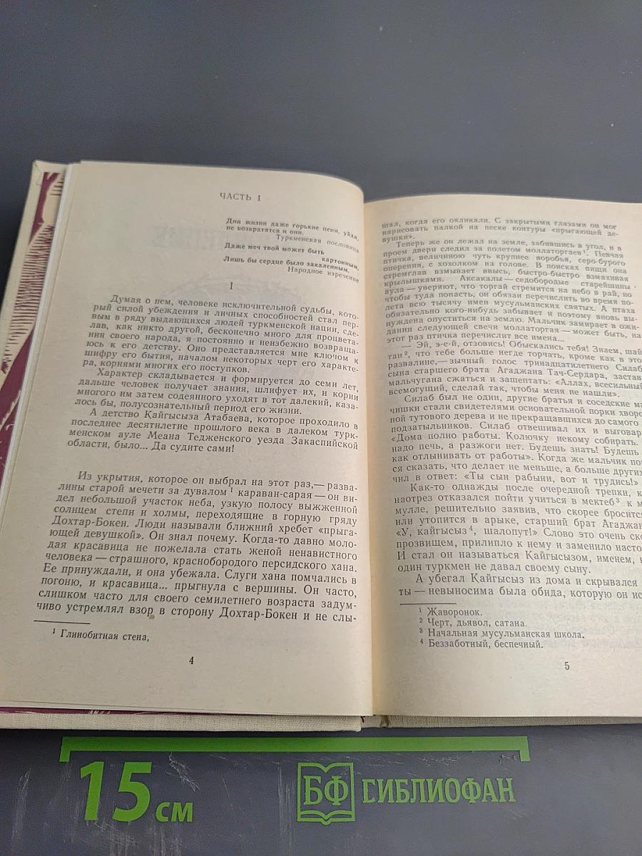 Жизнь-пламень