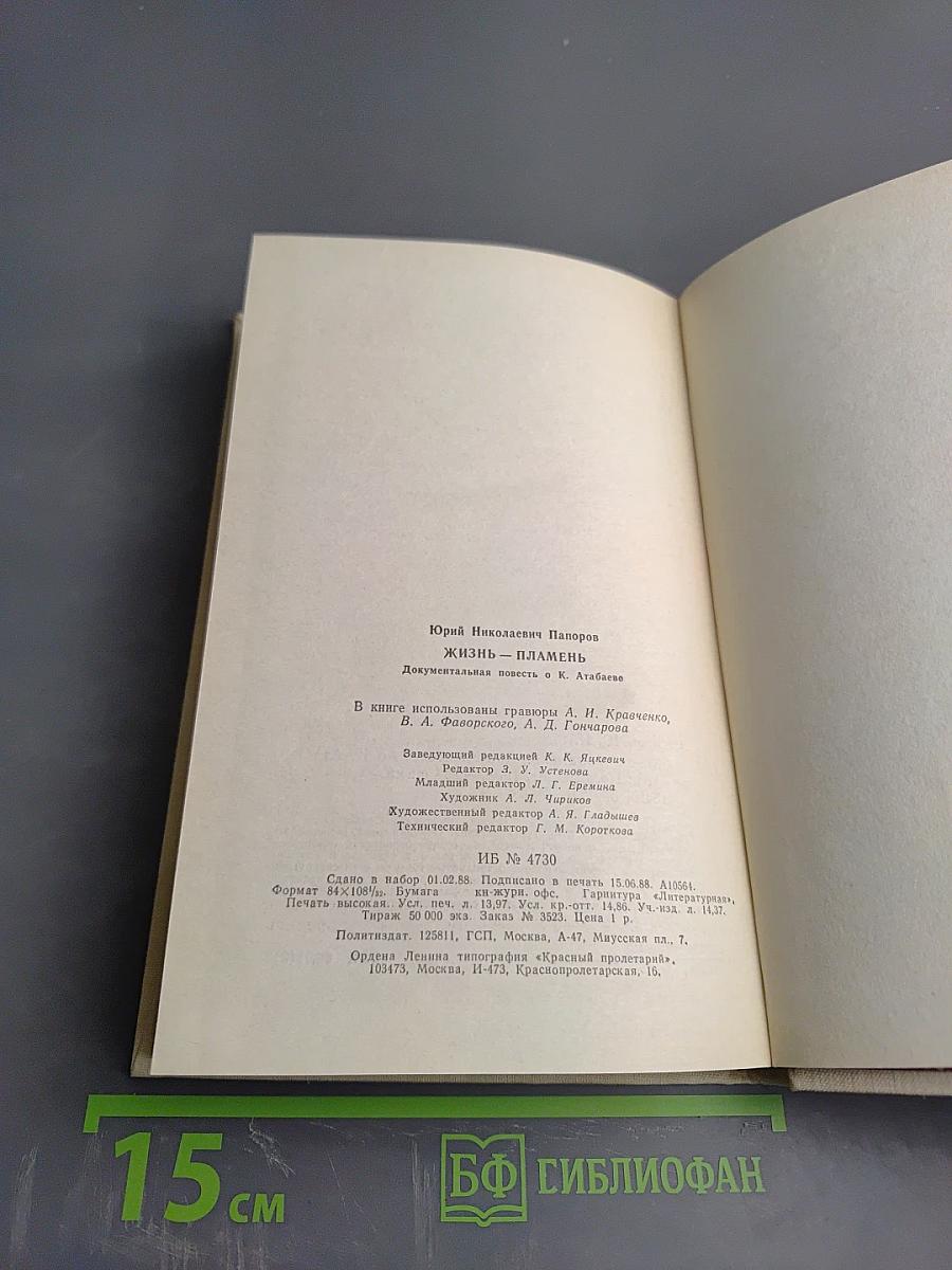 Жизнь-пламень