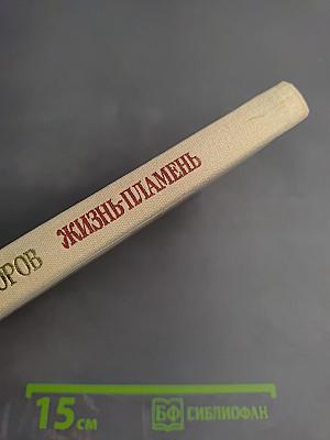 Жизнь-пламень