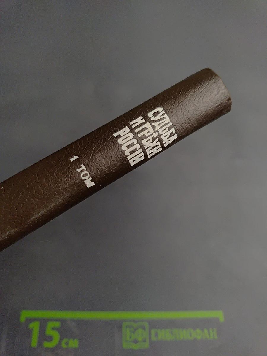 Судьба и грехи России. 1 том