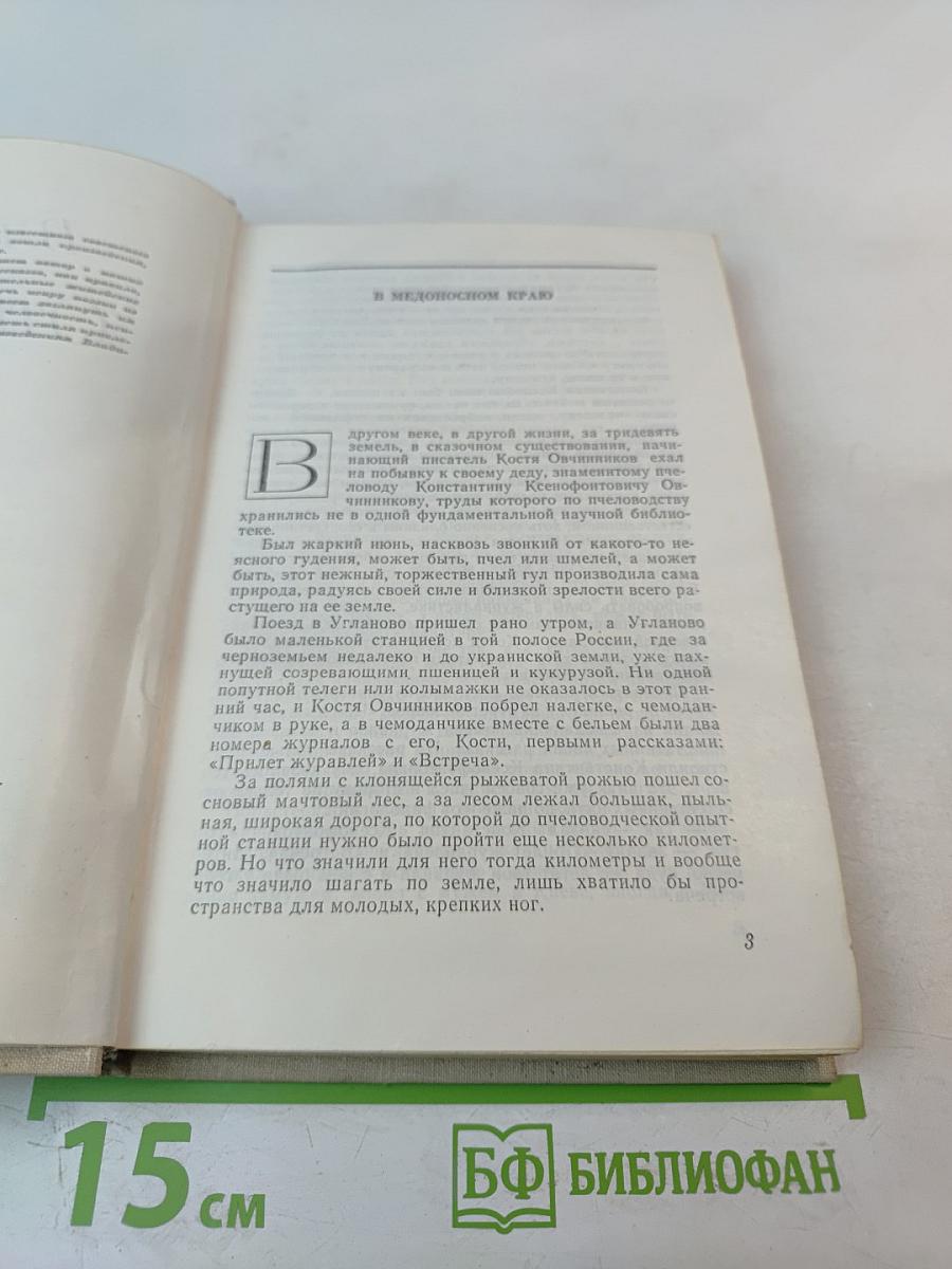 Отражения звезд