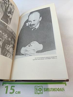 Бухарин. Политическая биография 1888-1938