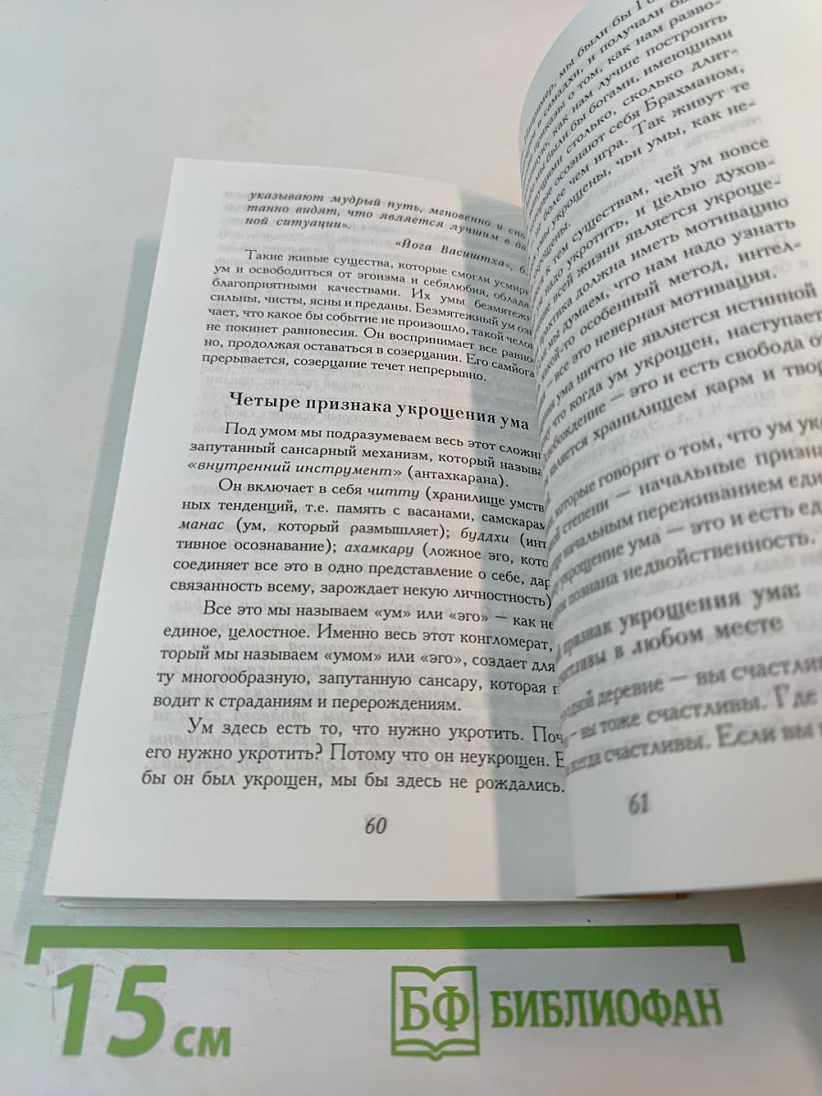 Ведические практики усмирения ума. Методы достижения счастья и здоровья