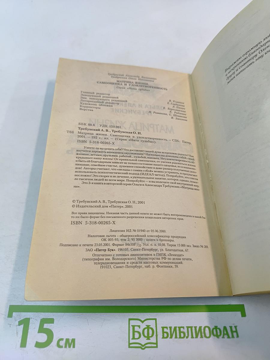 Матрица жизни. Самооценка и удовлетворенность