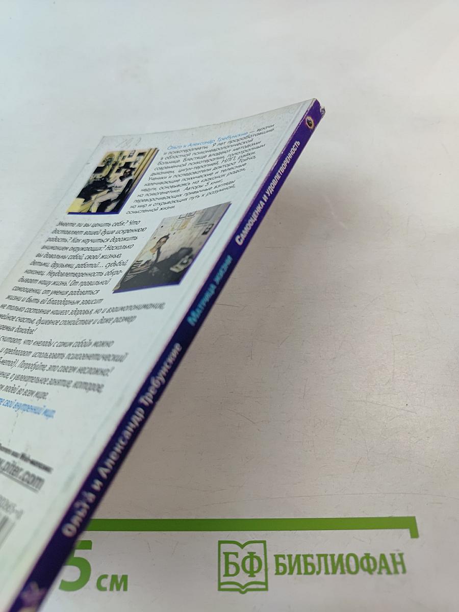 Матрица жизни. Самооценка и удовлетворенность