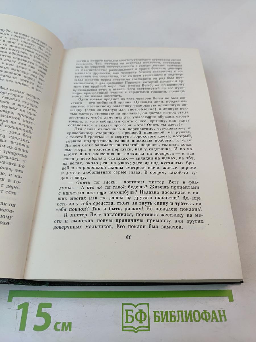 Чарльз Диккенс. Собрание сочинений. Том 24. Наш общий друг. Книги первая и вторая
