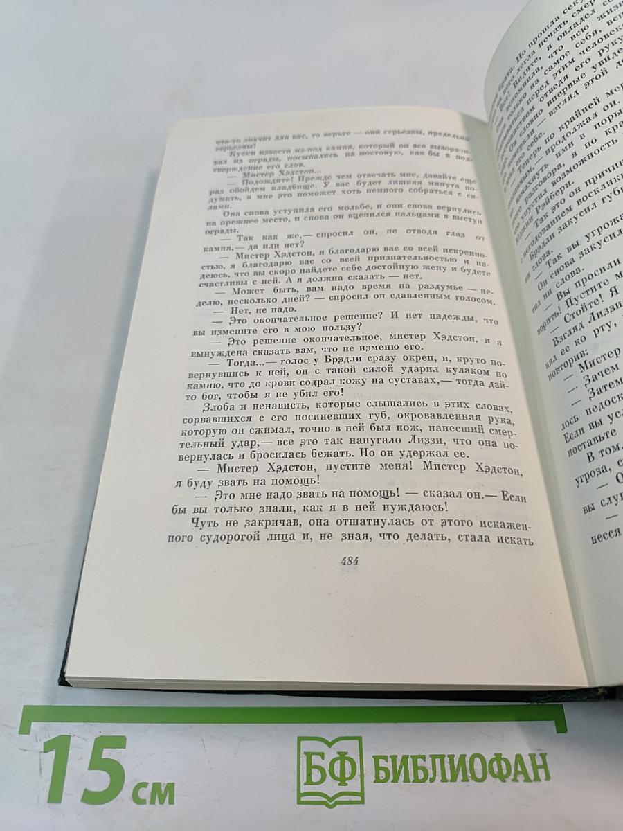 Чарльз Диккенс. Собрание сочинений. Том 24. Наш общий друг. Книги первая и вторая