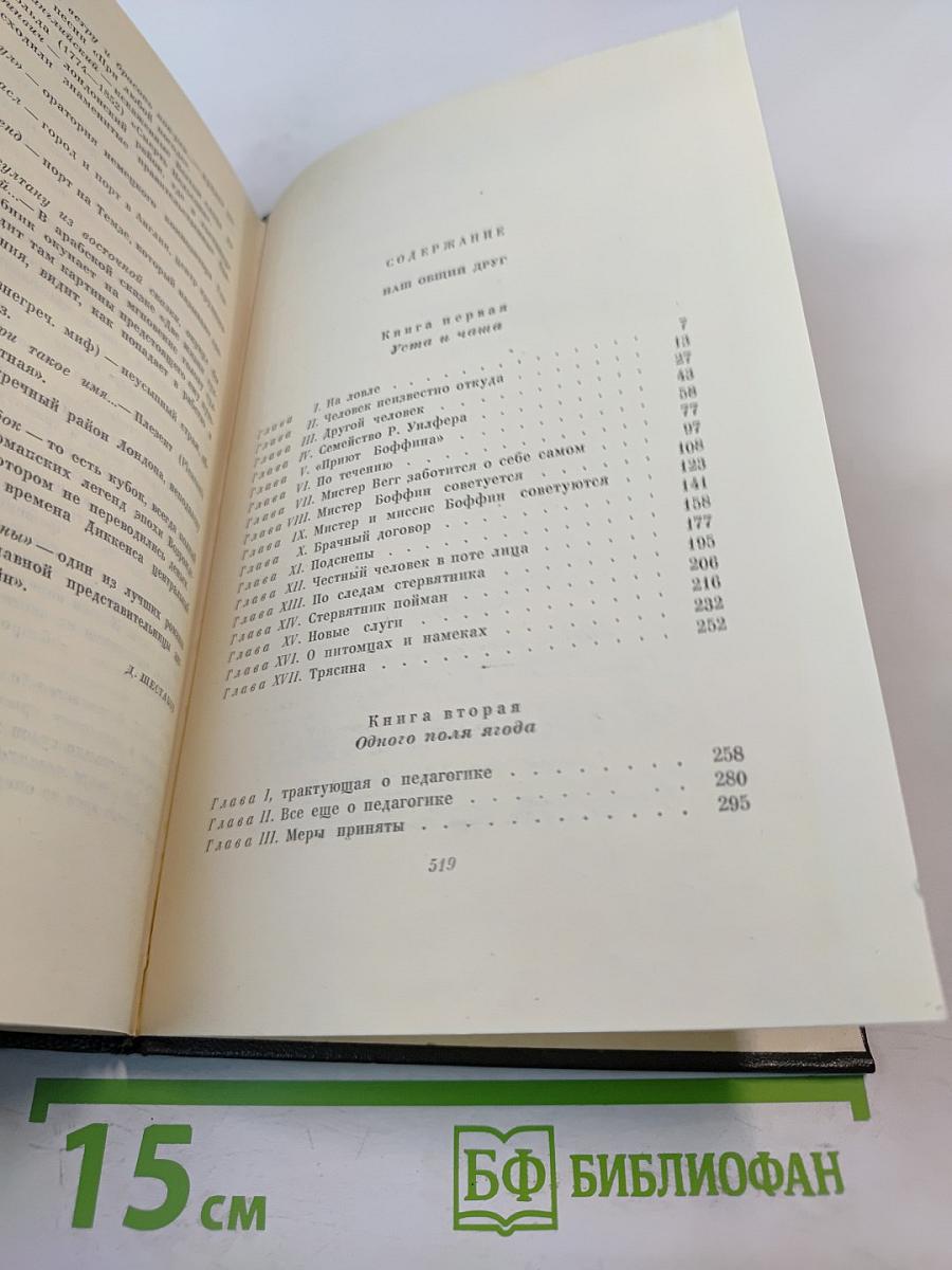 Чарльз Диккенс. Собрание сочинений. Том 24. Наш общий друг. Книги первая и вторая