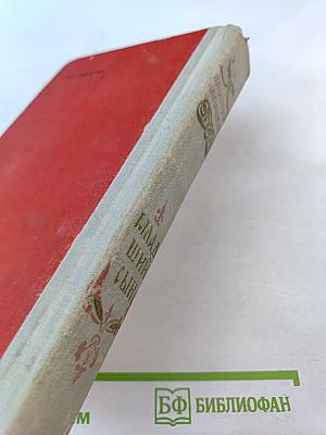 Младший сын