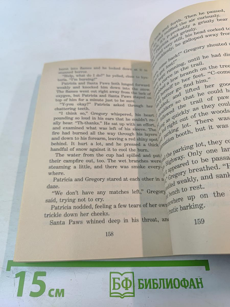 The Return of Santa Paws