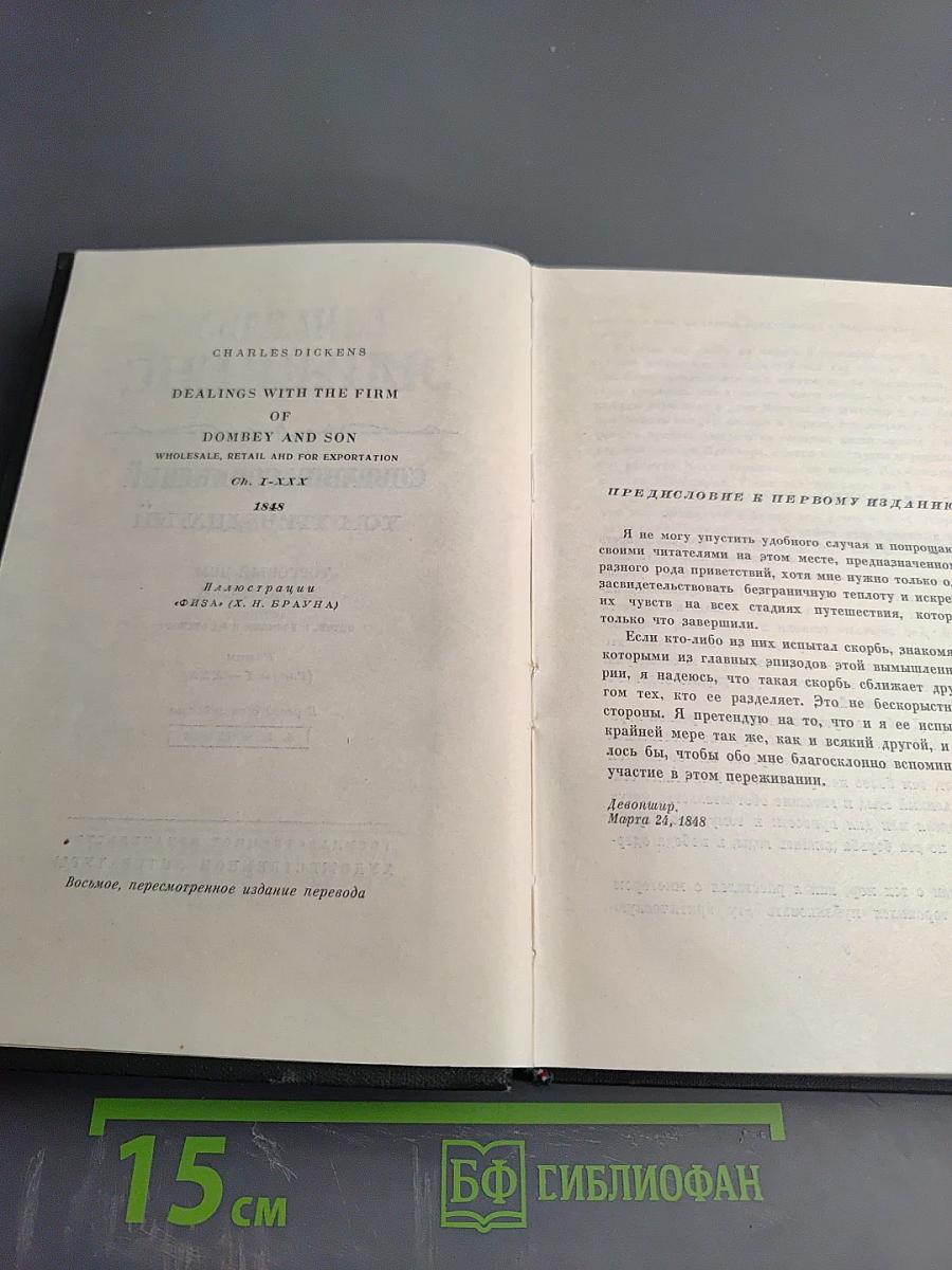 Собрание сочинений. Том тринадцатый. Торговый дом Домби и сын