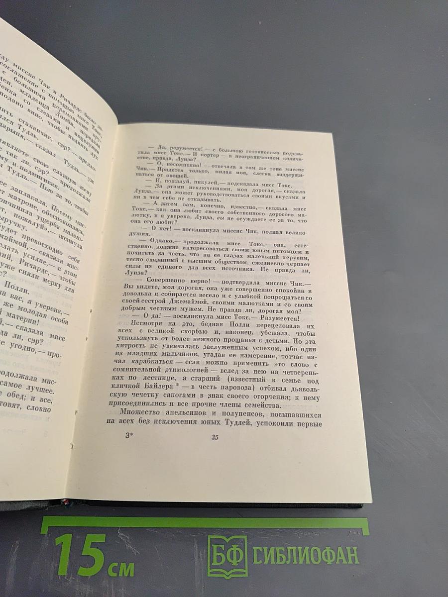 Собрание сочинений. Том тринадцатый. Торговый дом Домби и сын