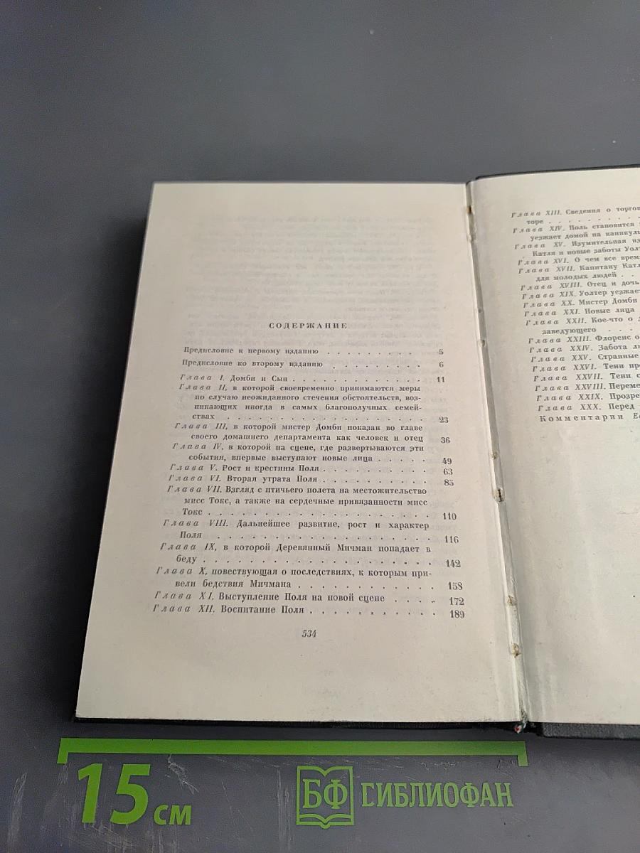 Собрание сочинений. Том тринадцатый. Торговый дом Домби и сын
