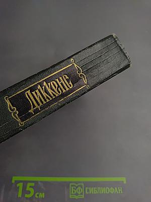 Собрание сочинений. Том тринадцатый. Торговый дом Домби и сын