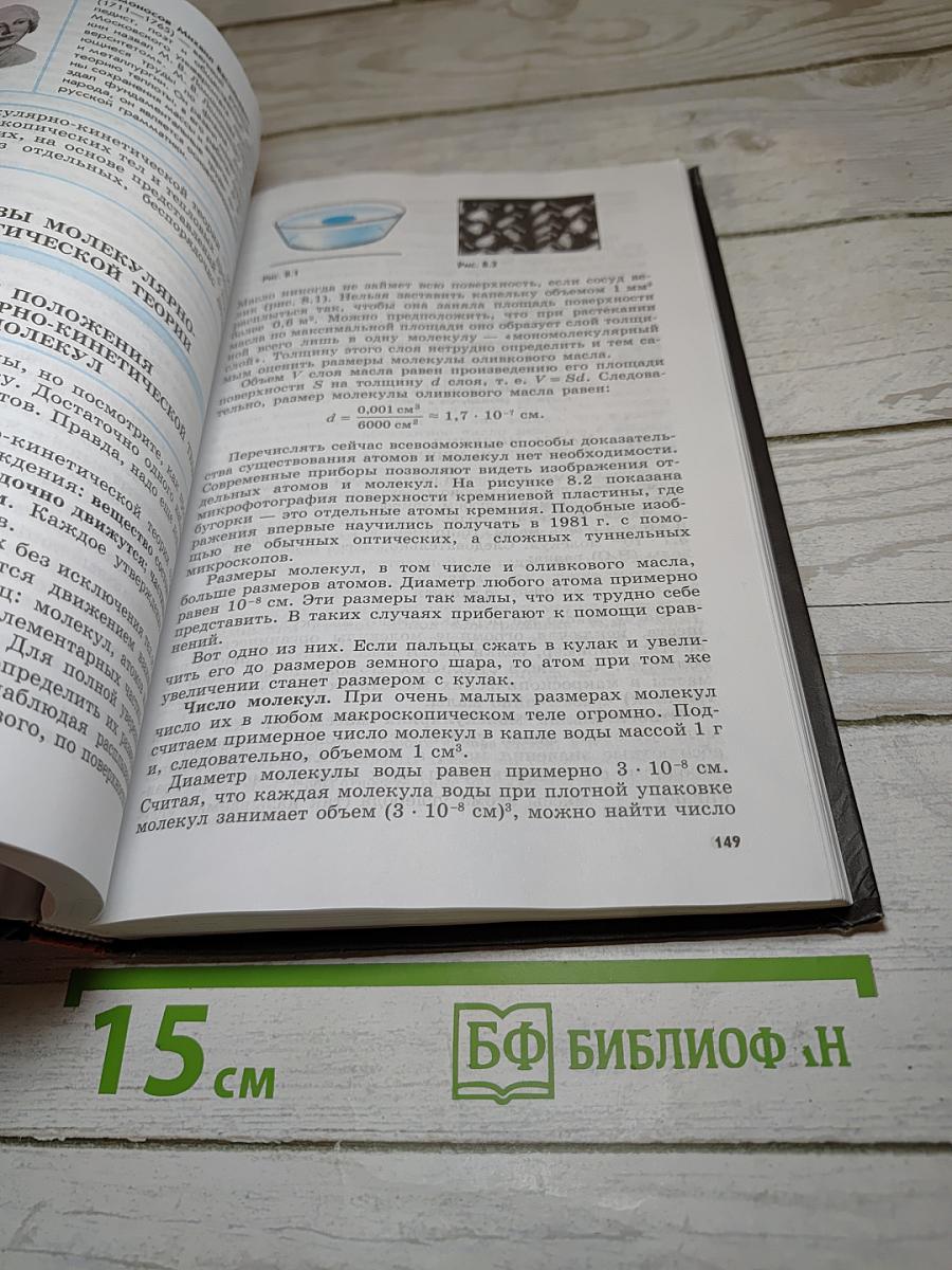 Физика 10 класс. Классический курс