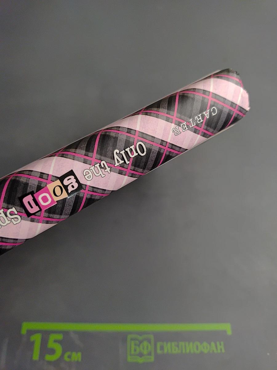 Only the Good Spy Young