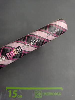 Only the Good Spy Young