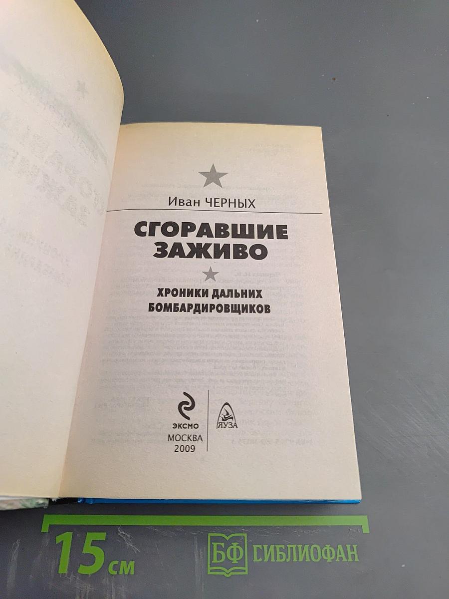 Сгоравшие заживо. Хроники дальних бомбардировщиков