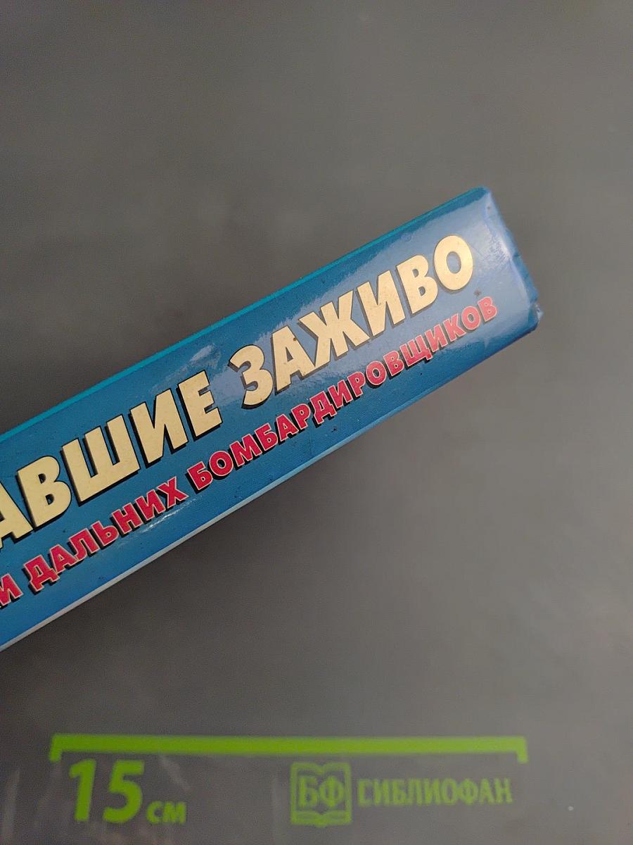 Сгоравшие заживо. Хроники дальних бомбардировщиков