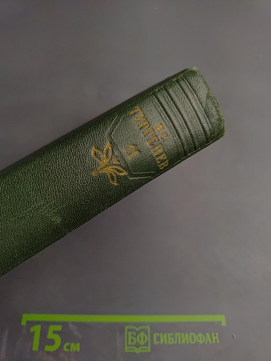 Собрание сочинений. Том одиннадцатый: Литературно-критические статьи и речи, Биографические очерки и заметки