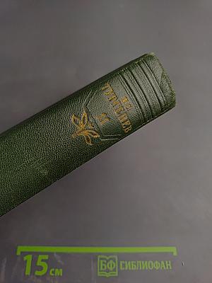 Собрание сочинений. Том одиннадцатый: Литературно-критические статьи и речи, Биографические очерки и заметки