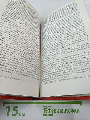 А. С. Бубнов: Военно-политическая деятельность