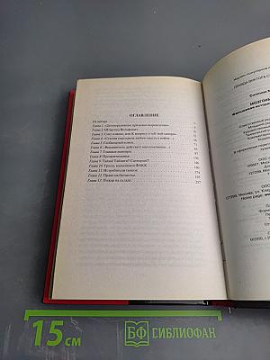 Мозгоимение: Фальшивая история Великой войны