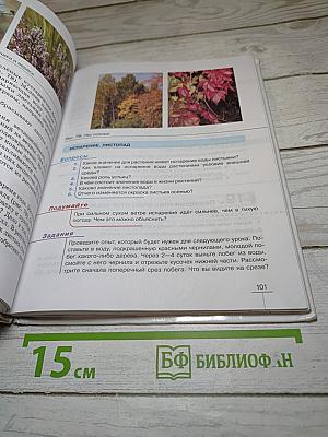 Биология. Многообразие покрытосеменных растений. 6 класс