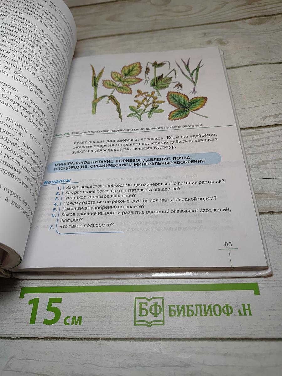Биология. Многообразие покрытосеменных растений. 6 класс