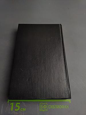 Кристина Хофленер. Жозеф Фуше. Портрет политического деятеля