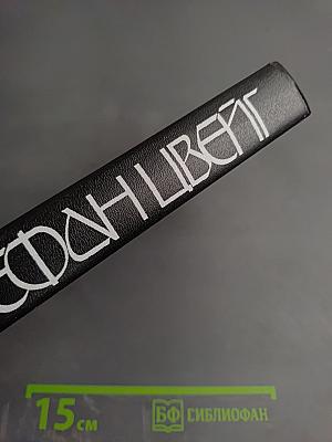 Кристина Хофленер. Жозеф Фуше. Портрет политического деятеля