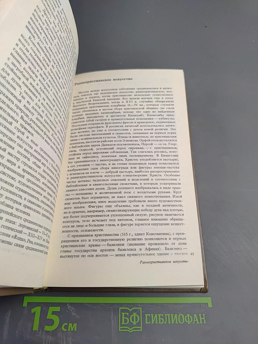 История искусств. Западно-европейское искусство