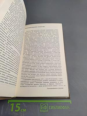 История искусств. Западно-европейское искусство