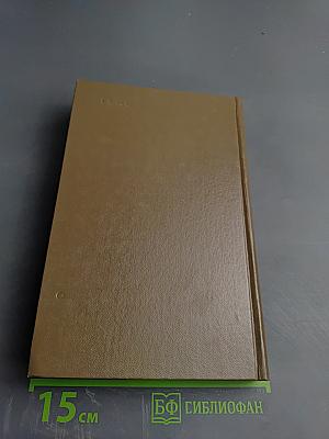 История искусств. Западно-европейское искусство