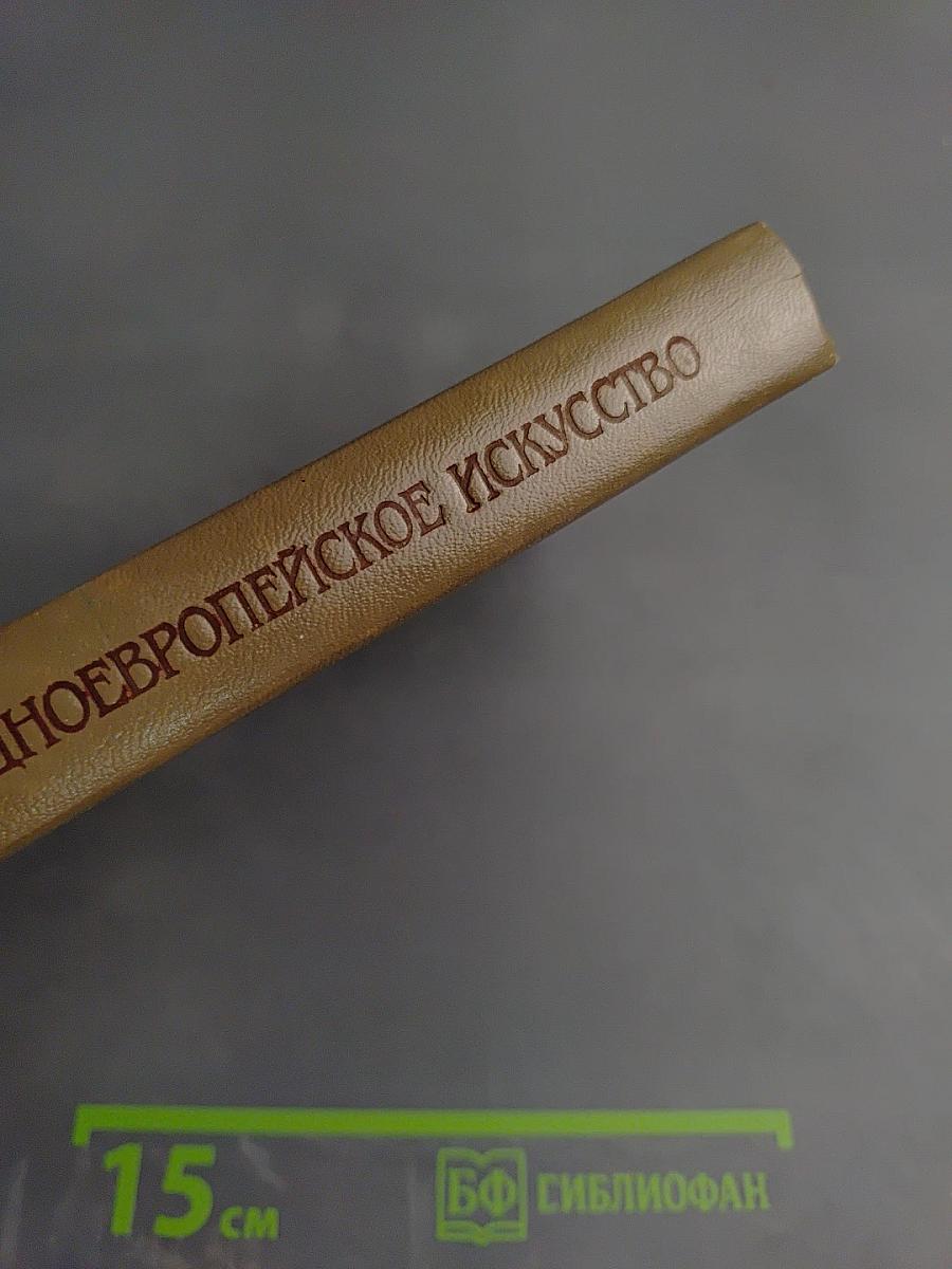 История искусств. Западно-европейское искусство