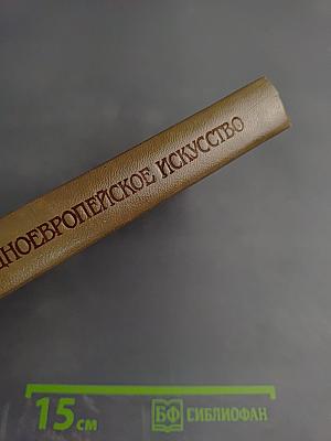 История искусств. Западно-европейское искусство