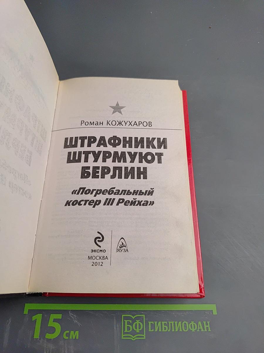 Штрафники штурмуют Берлин. Погребальный костер III Рейха