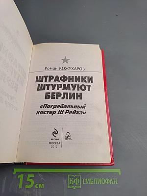 Штрафники штурмуют Берлин. Погребальный костер III Рейха