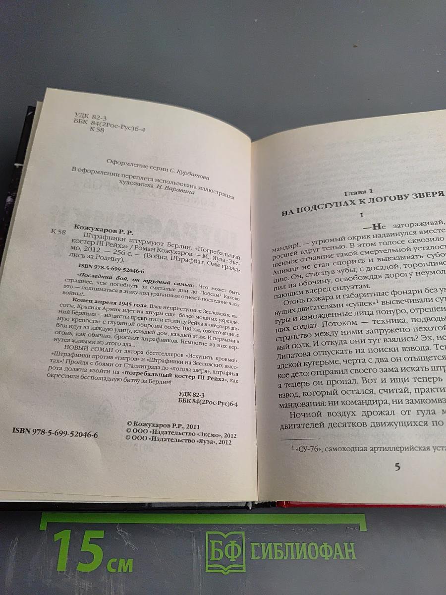 Штрафники штурмуют Берлин. Погребальный костер III Рейха