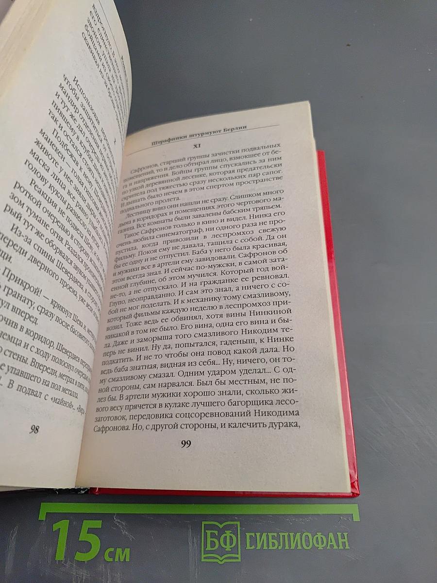 Штрафники штурмуют Берлин. Погребальный костер III Рейха