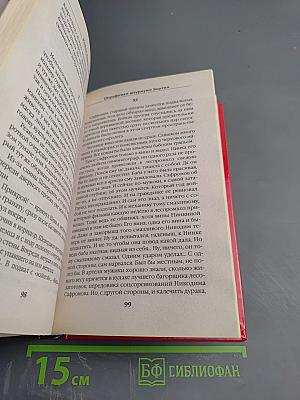 Штрафники штурмуют Берлин. Погребальный костер III Рейха