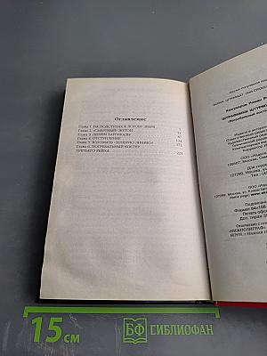 Штрафники штурмуют Берлин. Погребальный костер III Рейха