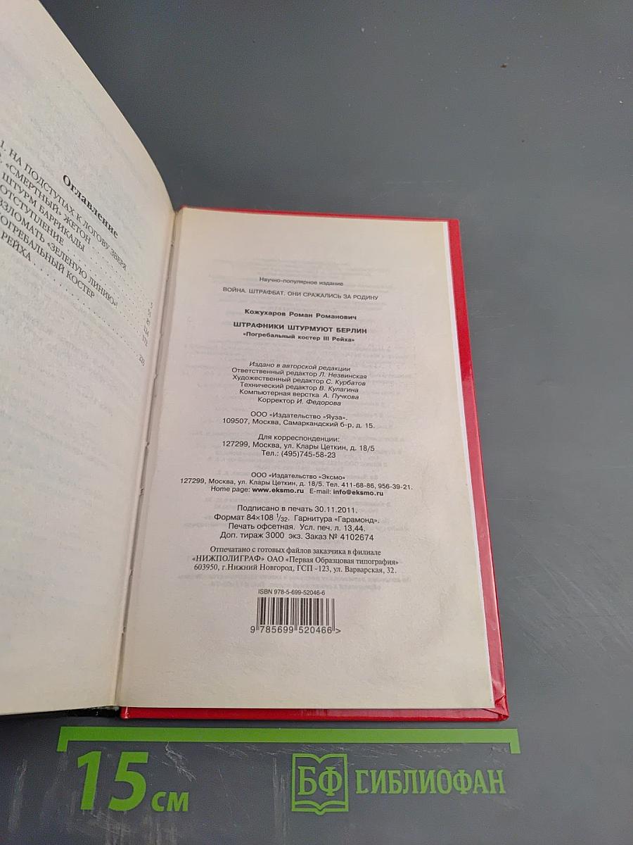 Штрафники штурмуют Берлин. Погребальный костер III Рейха