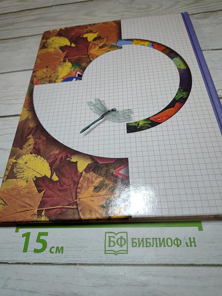 Окружающий мир 1 класс. Учебник для четырёхлетней начальной школы. Второе полугодие