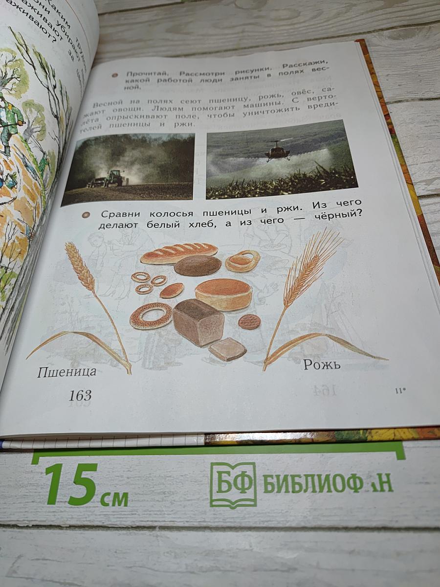 Окружающий мир 1 класс