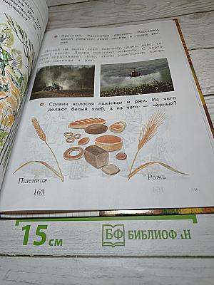 Окружающий мир 1 класс