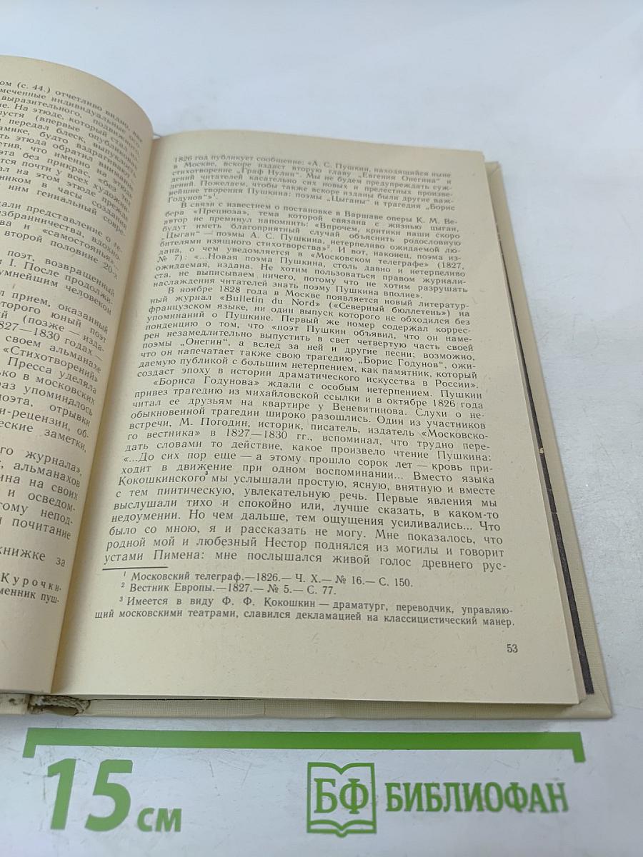 Образ, бережно хранимый: Жизнь Пушкина в памяти поколений. Книга для учителя
