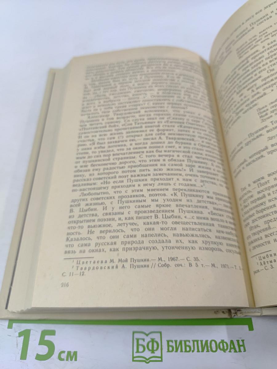 Образ, бережно хранимый: Жизнь Пушкина в памяти поколений. Книга для учителя